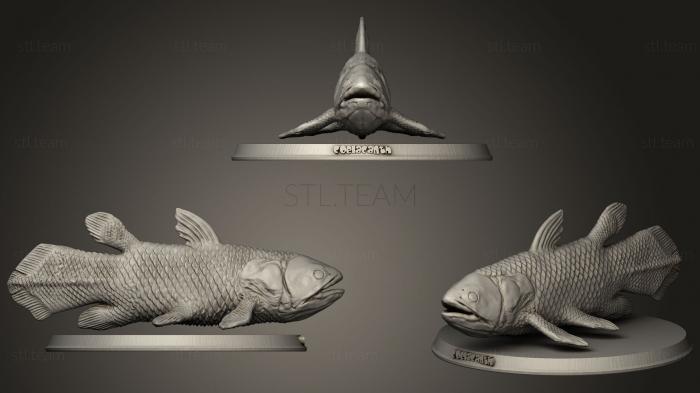 3D model Coelacanth (STL)